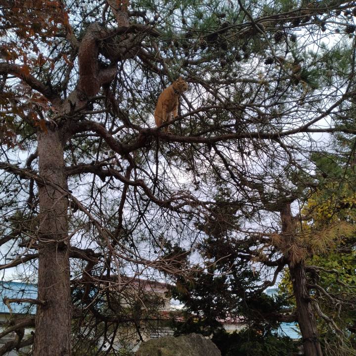 Ab2134ac 52a1 4873 b6fb 376bfc48f249 1667776403386