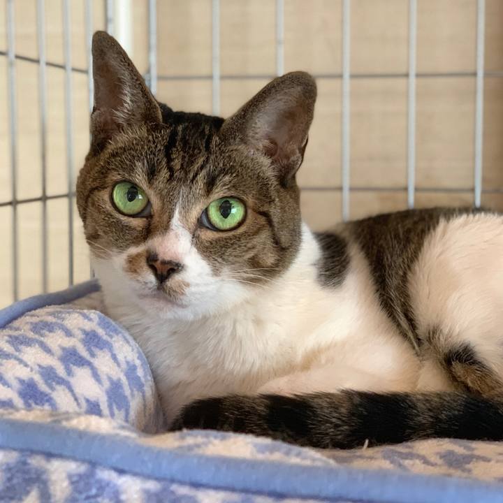 Ab21440d 993a 4238 bce2 98cd398e934a 1599096037185