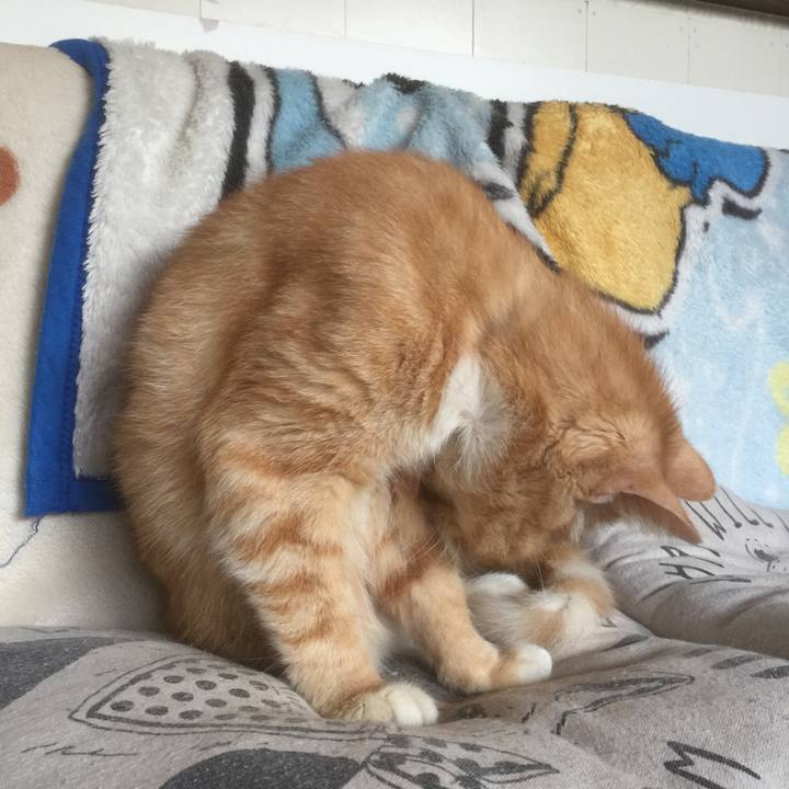 Ab21937a 5563 4d98 95e9 42da5f5437cc 1572560921321