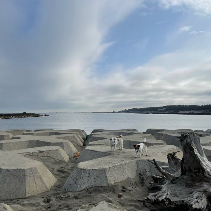 Ab21b5ef 85eb 4068 af76 cf28ef2894a8 1649117384117