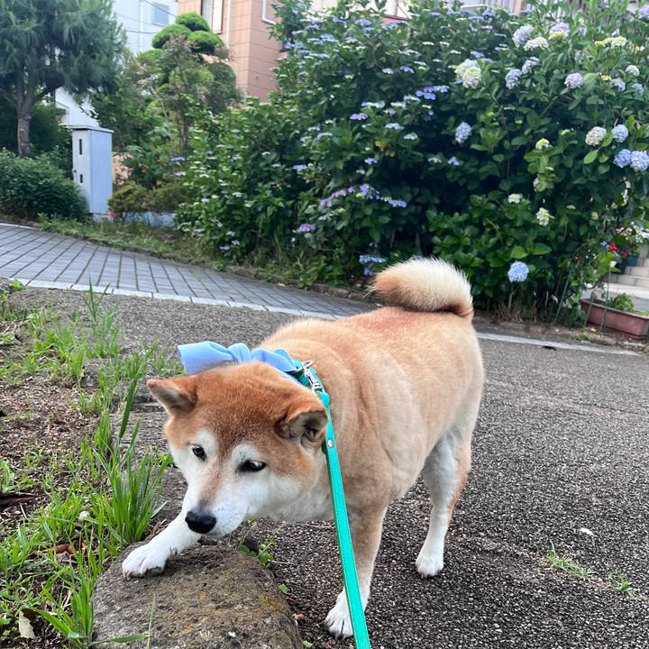 Ab21ebbc a05e 43a7 871a fd649fe5994f 1717237276589