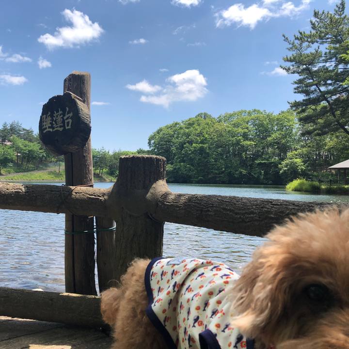 Ab21f1d9 a56b 4f3e aa70 59dd2b2c567c 1591506800463