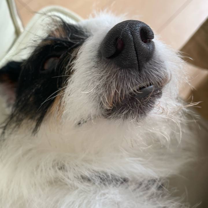 Ab2201d5 f617 44b3 b4df a6c012b8a1d8 1591064902562