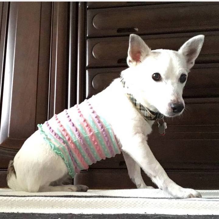 Ab220601 035b 4761 9da6 d0105990755c 1760827248368