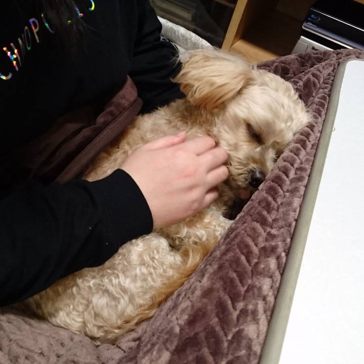 Ab22299d 55e5 49d4 b5a4 704ae80ab4b9 1607168570280