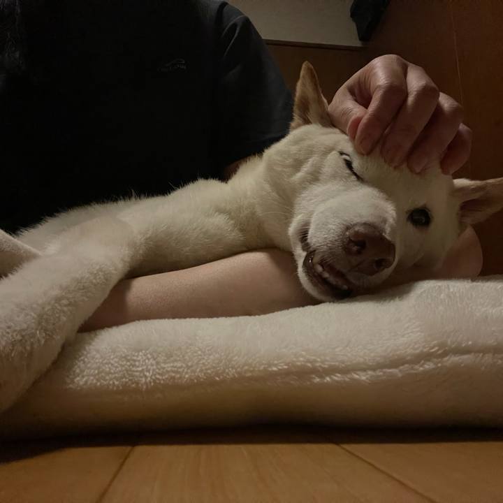 Ab2235c6 365a 4ded 9a96 787c1f29cd78 1663260501929