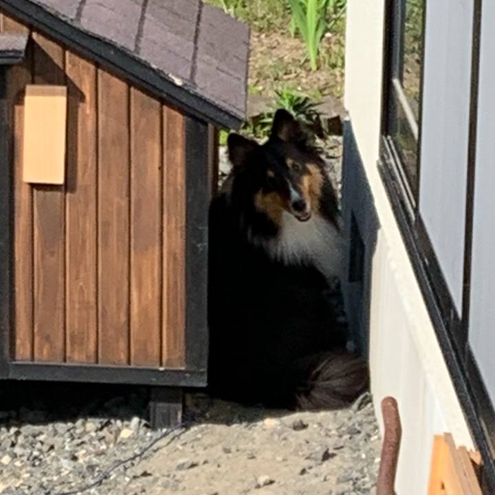 Ab2255c8 64a5 4649 998d 16853ebc74c6 1559600817426