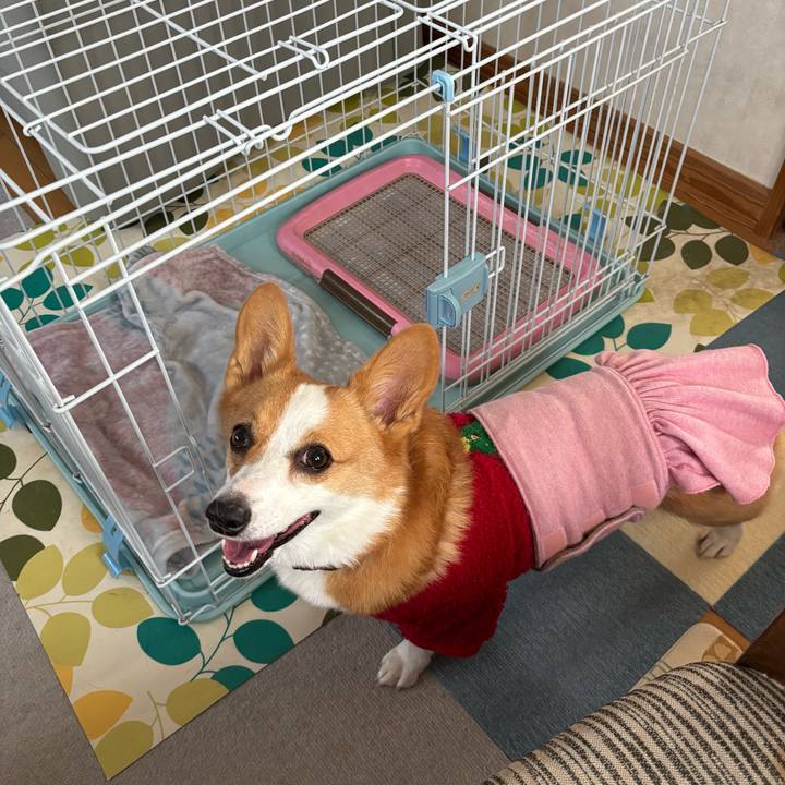 Ab228029 d257 49f4 b665 4a094e952cc0 1766623289948