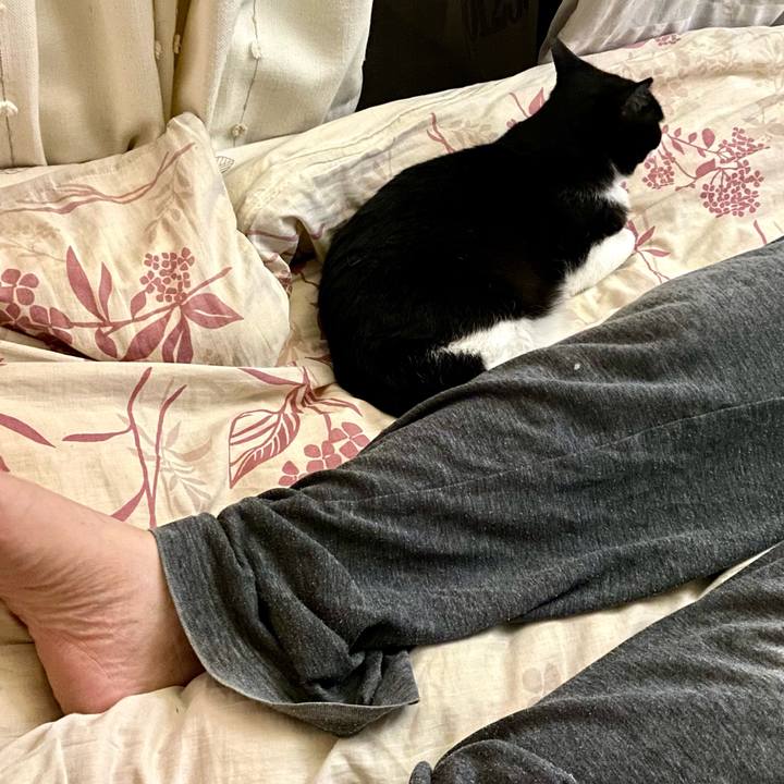 Ab22832f 7a46 4124 a207 7d37b6cea329 1626066033722