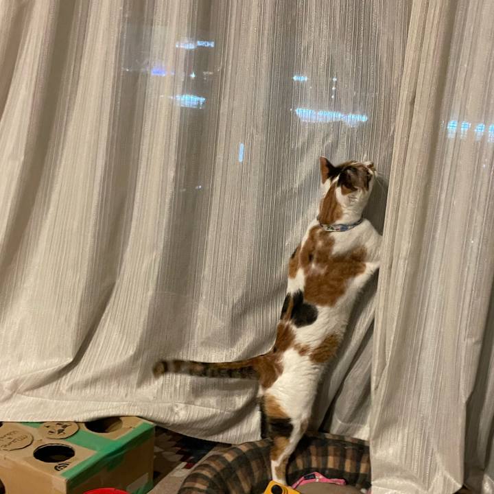 Ab22ea38 dd0c 41c3 9682 c985d27c7b2d 1695825876345