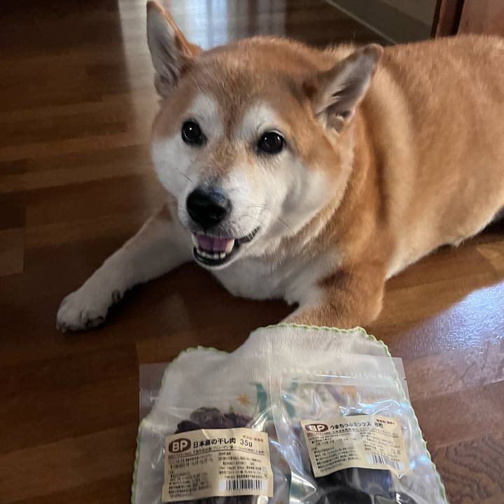 Ab237ce8 cbb2 417d 8920 beb7185709a0 1690340490246