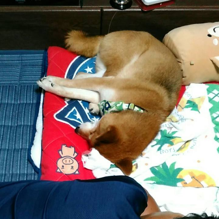 Ab238bf5 4e34 4290 98dc c16cb713305e 1561563118178