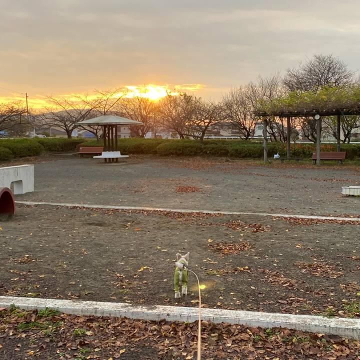 Ab23916f 14da 4dbc a3ad 38a7bc2bbed4 1606447460650