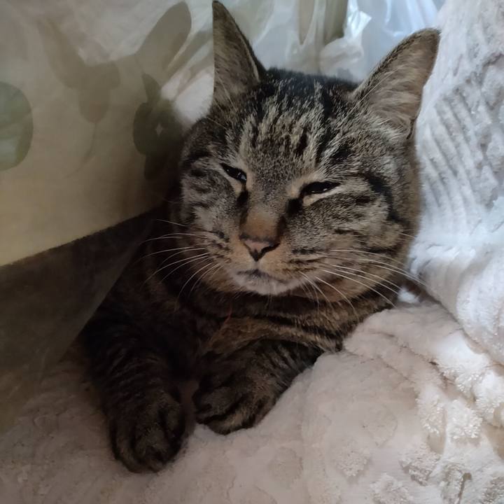 Ab23a586 430f 4b51 8be7 e62cf7f2a03e 1673480365231