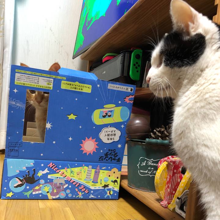 Ab23abe5 9f12 4a90 abfa 06f2b850348f 1618835900407