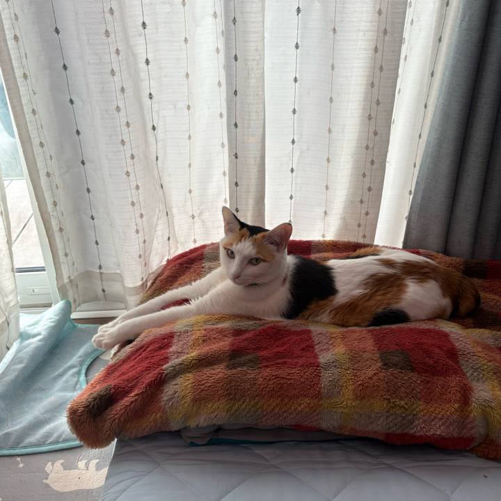 Ab23b213 6811 4ea2 b641 21bc28c8f55b 1760584253965