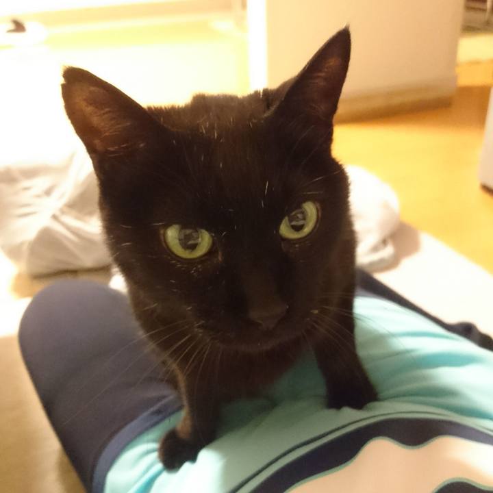 Ab23c3f1 cbdd 4c8e 9abe 76b1f92f70a4 1529064657259