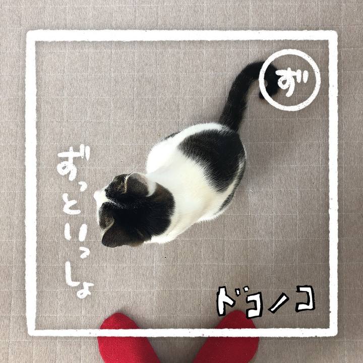 Ab23cb87 3984 42e7 acc5 f2c28c0b58fa 1685970075474