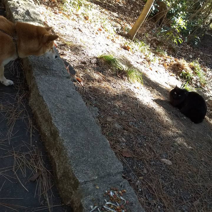 Ab23db3a d4e9 449f 8a0a a9e1c061db8e 1516016297376