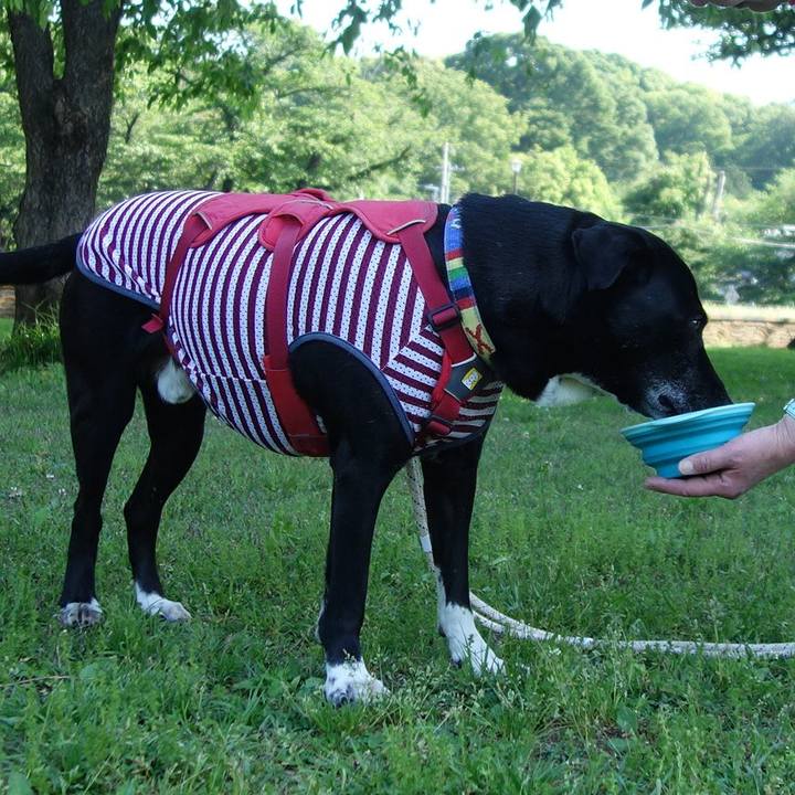 Ab23dd9d fbcb 42bd 9df2 fe7973173366 1683160835070