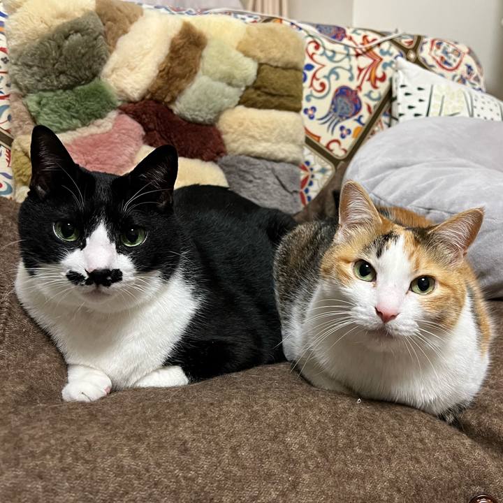 Ab23de8c f6f7 484d 8b0e 540c4dedec14 1764770681635