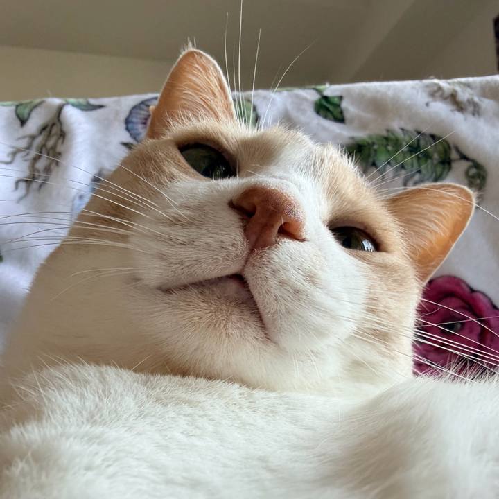 Ab23f780 a7c6 4844 82f6 7de5f6ab5fb5 1774747566809