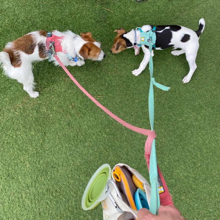 Ab23f820 586c 44ca a4ba b20c80fb681b 1747461337755