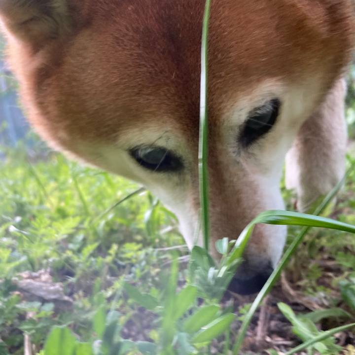 Ab2416b7 6dfc 4c9b b9c0 fcd9962e4078 1681377424898