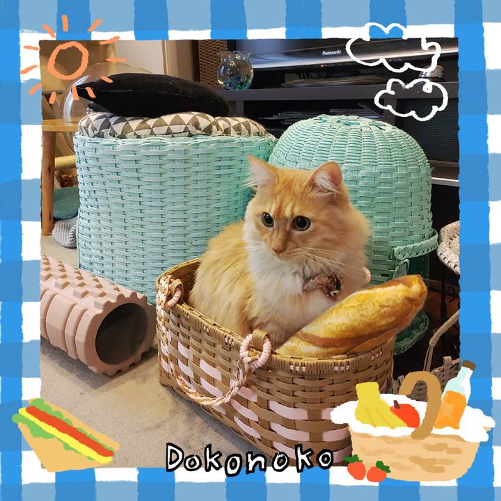 Ab242dfd bd38 4717 824f c595fff8ef3f 1744326576645