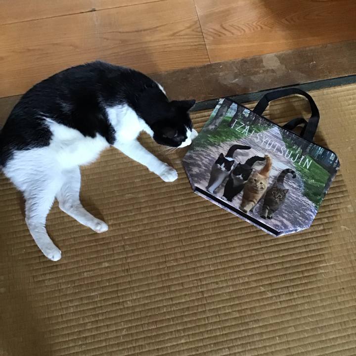 Ab243954 fa46 48df 9127 22b81b8d716e 1755516378308