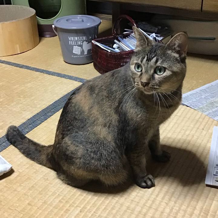 Ab249b81 0ec1 410a be3d d10465db0c78 1757760465479