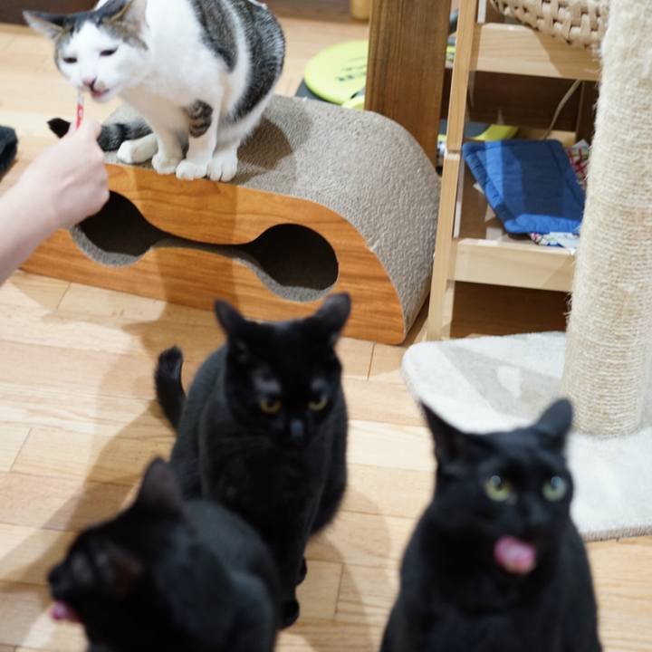 Ab24b92f 2566 495f a982 63cef8c4c05f 1552434225188