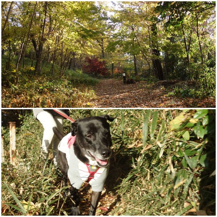 Ab24be1f e0ed 46ff 8eae 2ed778d440c3 1702084187302