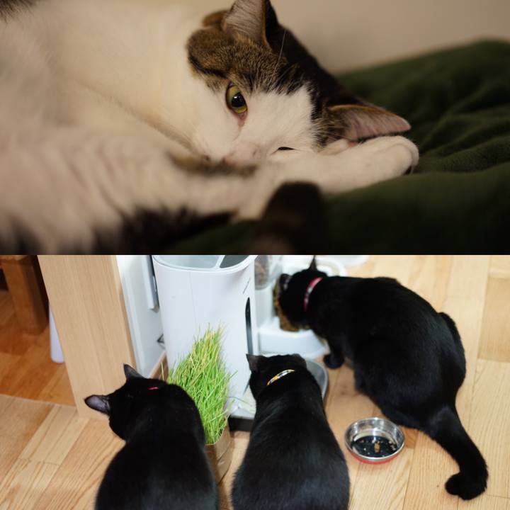 Ab24c526 92e9 4758 b0ea 9ed2cada0a57 1549638290709