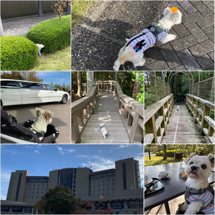 Ab24e6c0 38ee 4c40 b0e8 7b42d2b7cb0e 1604220794503