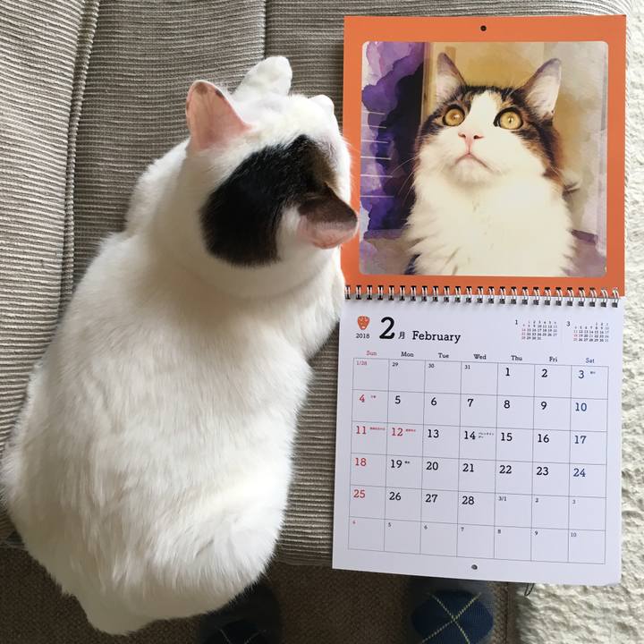 Ab250c1a e2d6 44df bd3d 93976d3ef035 1517448009712