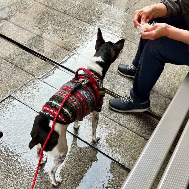 Ab258aca d4c8 4685 ae6b 300229b6ccc1 1637459423627