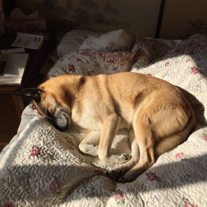 Ab25a19c 80e1 4169 8a10 9ff76c4c13a3 1513822102805