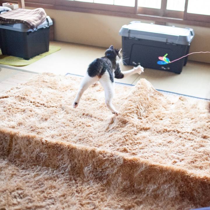 Ab25a98f a432 4d75 a23e 4cd66d65e0e0 1575506404402