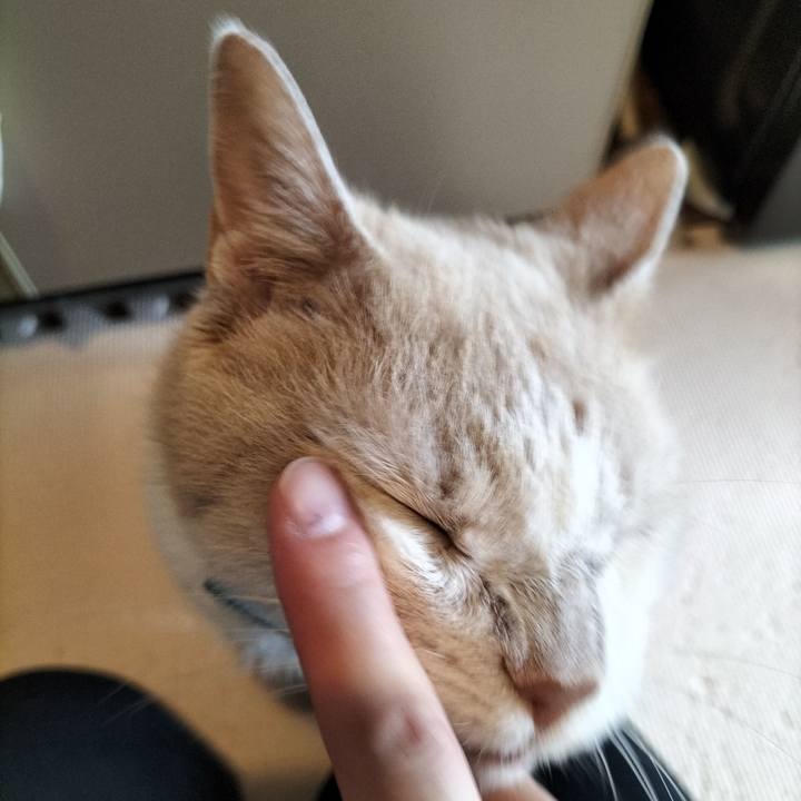 Ab25d203 549c 4f48 87f1 d347ce1256b2 1659566355056