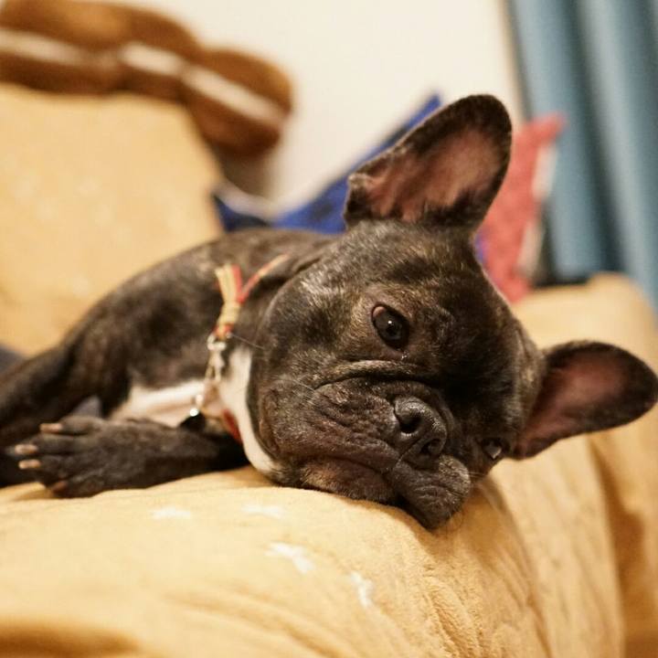 Ab25d45a 4d3c 4c27 a355 6fbab1ae54f9 1511965563308