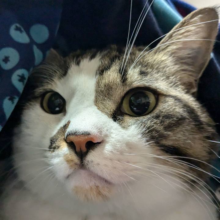 Ab25fcae 546d 40c1 9802 d81790c1f8c6 1734854600829