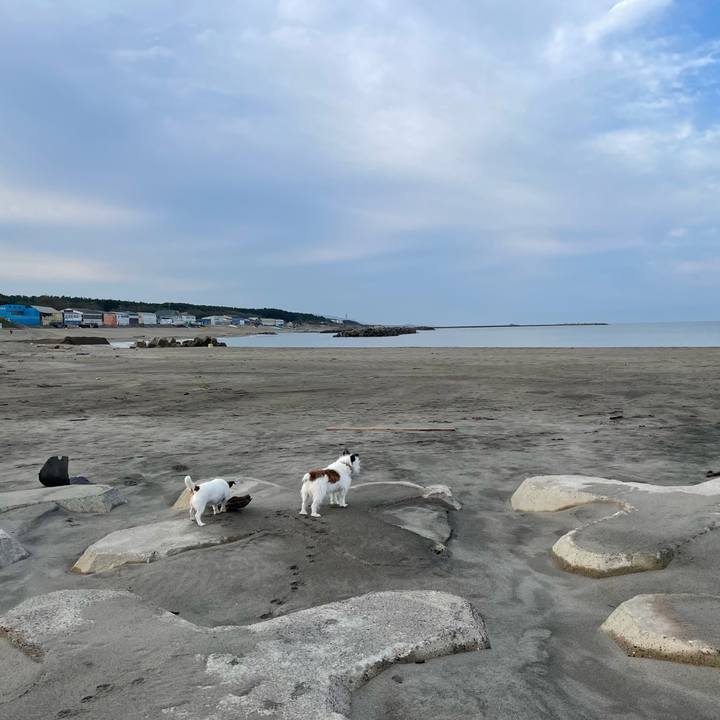 Ab261dae a796 40b7 b577 8b7c0843a88e 1729899428289