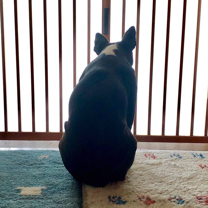 Ab262ed0 e7d3 4ccb 9d6e 28e002e34e46 1553071614922