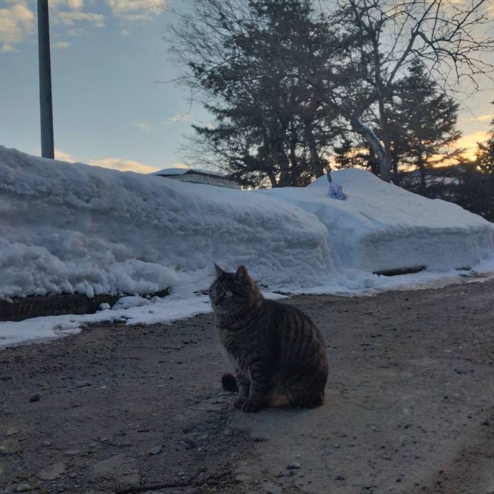 Ab263f4f a597 4dea bee2 57862fd1a6c7 1676620538933