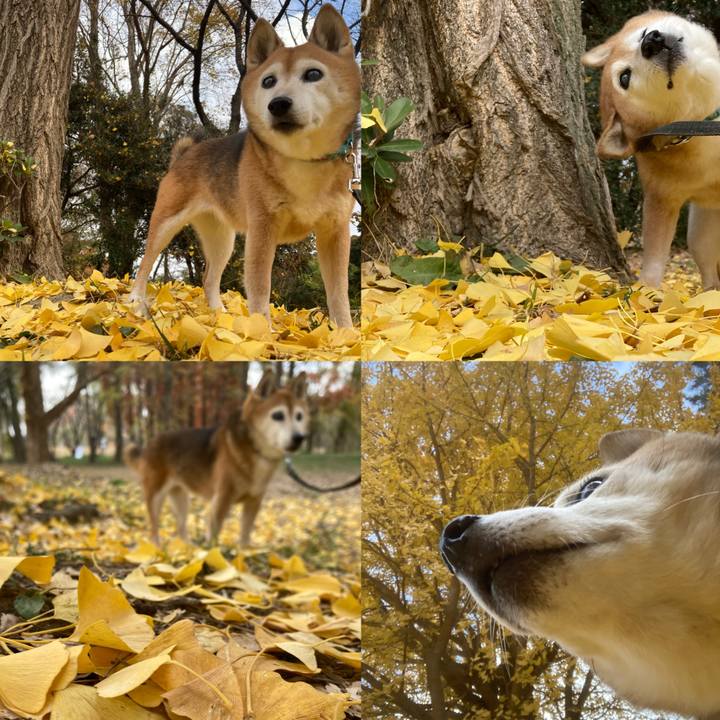 Ab26405a a216 4054 a430 8dead42691dc 1764649520593