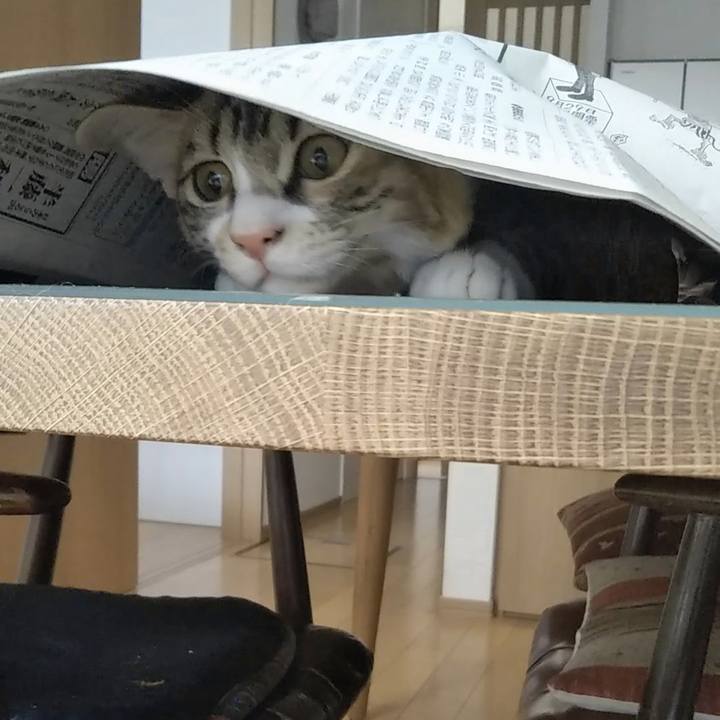 Ab266204 24f3 4632 a1e4 538305977369 1630151199523