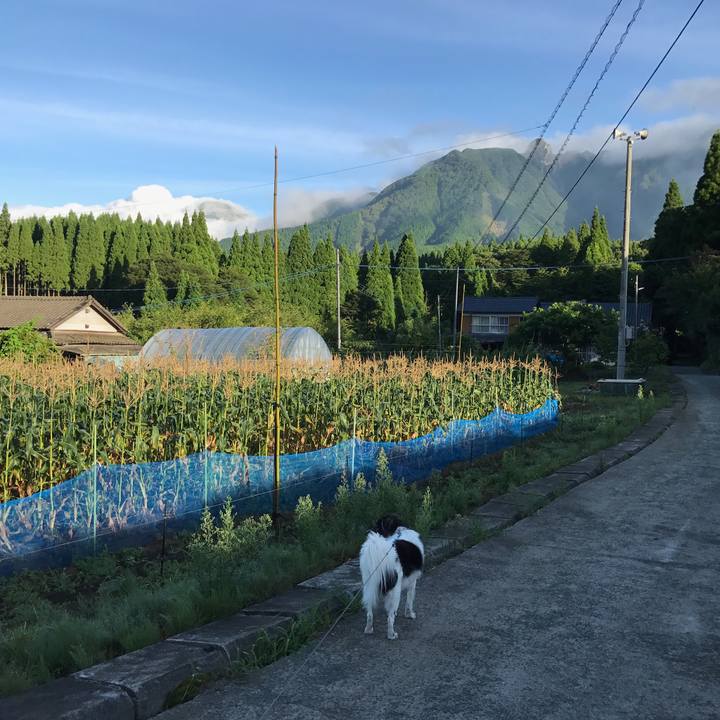 Ab26c17b 520e 4945 b739 f63d13dd9bcb 1534252218869