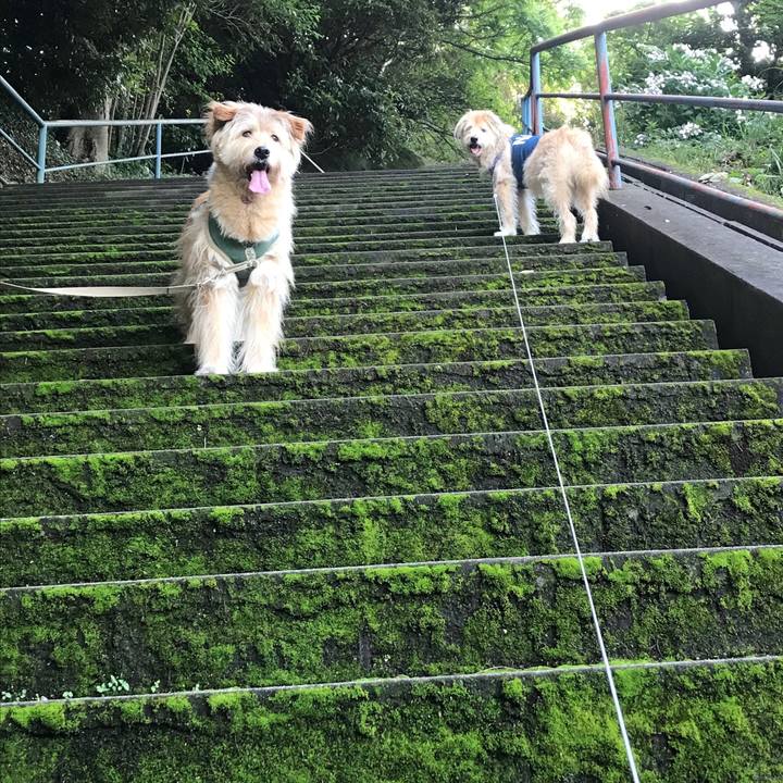 Ab26e6d1 6125 4fbc 9dd6 1bc73c1caa1a 1529831075775