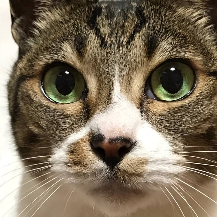 Ab26ed99 5694 466c 908c 1bff80679704 1523668324821